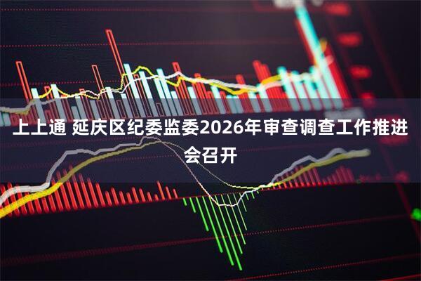 上上通 延庆区纪委监委2026年审查调查工作推进会召开